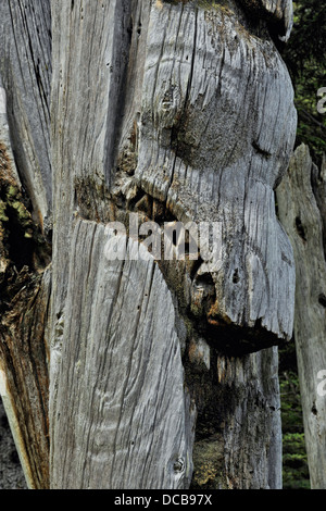 SGang Gwaay Island Le parc national Gwaii Haanas poteaux mortuaires Haida Gwaii Queen Charlotte Islands British Columbia Canada Banque D'Images