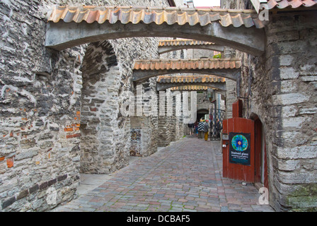 Katariina Käik St Catherines alley Passage la vieille ville de Tallinn en Estonie les Pays Baltes Europe Banque D'Images