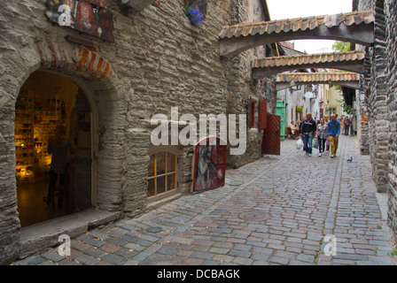 Katariina Käik St Catherines alley Passage la vieille ville de Tallinn en Estonie les Pays Baltes Europe Banque D'Images