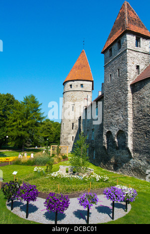 Tallinn fête des fleurs été 2013 Tornide väljak les tours carrés à l'extérieur des murs de la vieille ville de Tallinn en Estonie les Pays Baltes Europe Banque D'Images