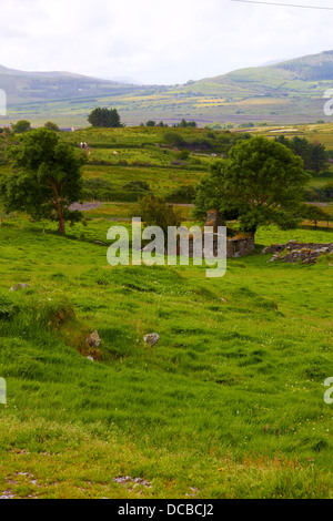 Vieille ruine à Glencar, comté de Kerry, Irlande Banque D'Images