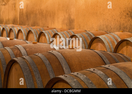 Les tonneaux de vin en bois utilisé pour le vin à l'âge Gitton et fils dans la région de Sancerre. Banque D'Images