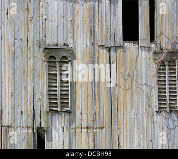 Old sun-blanchies barn siding Banque D'Images