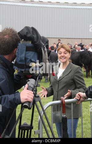 L''Anglesey, au Pays de Galles, Royaume-Uni. 14Th Aug 2013. Le Prince William à la rencontre du public au salon de l'Agriculture d'Anglesey dans le Nord du Pays de Galles, UK © Gari Banque D'Images