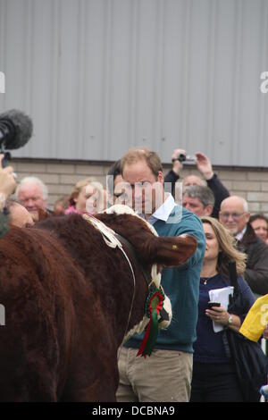 L''Anglesey, au Pays de Galles, Royaume-Uni. 14Th Aug 2013. Le Prince William à la rencontre du public au salon de l'Agriculture d'Anglesey dans le Nord du Pays de Galles, UK © Gari Banque D'Images