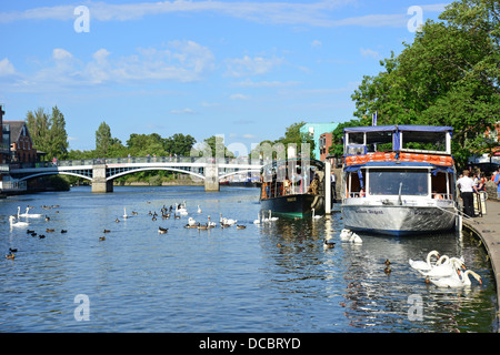 Les bateaux de croisière sur la rivière Tamise, Windsor, Berkshire, Angleterre, Royaume-Uni Banque D'Images