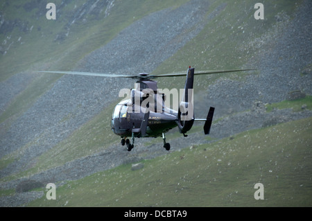 Aérospatiale SA-365N atterrissant à Hirta, St Kilda, l'archipel des Hébrides extérieures, en Écosse, au Royaume-Uni. Banque D'Images