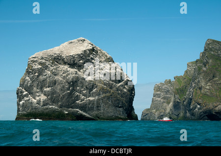 Bateau de tourisme ci-dessous Stac Lee, St Kilda, l'archipel des Hébrides extérieures, en Écosse, au Royaume-Uni. Boreray à droite. Banque D'Images