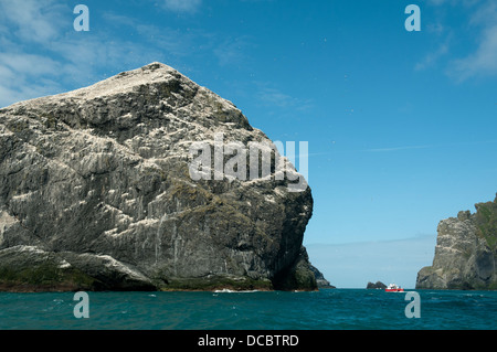 Bateau de tourisme ci-dessous Stac Lee, St Kilda, l'archipel des Hébrides extérieures, en Écosse, au Royaume-Uni. Boreray à droite. Banque D'Images