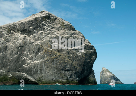 Bateau de tourisme ci-dessous Stac Lee, St Kilda, l'archipel des Hébrides extérieures, en Écosse, au Royaume-Uni. Un Stac Armin à la droite. Banque D'Images