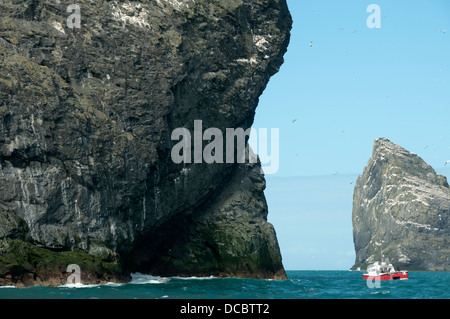 Bateau de tourisme ci-dessous Stac Lee, St Kilda, l'archipel des Hébrides extérieures, en Écosse, au Royaume-Uni. Un Stac Armin à la droite. Banque D'Images