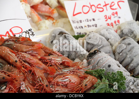 Le homard et la crevette en vente au marché. Banque D'Images