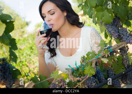 Jolie Mixed Race Woman buvant un verre de vin dans le vignoble. Banque D'Images