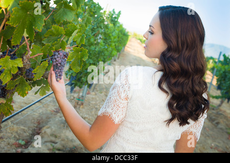 Young Adult Woman appréciant les Raisins de la vigne à l'extérieur. Banque D'Images