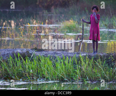 Young Girl standing swineherd par une zone humide dans la région du Teraï Népalais Banque D'Images