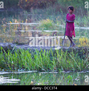 Young Girl standing swineherd par une zone humide dans la région du Teraï Népalais Banque D'Images