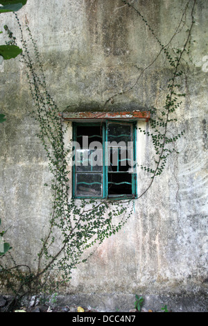 C'est une photo d'un détail d'une maison abandonnée en ruine. C'est une vitre cassée ou une porte totalement détruits et vieux. Banque D'Images