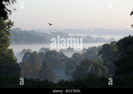 Tôt le matin, le brouillard couvre la plupart de Richmond Park. Londres et le reste du Royaume-Uni sont actuellement le plus chaud mois de septembre depuis plus de 100 ans. Londres, Angleterre - crédit obligatoire : WENN.com 30.09.11 Banque D'Images