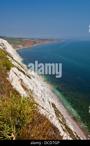Compton Bay, près de Freshwater Bay, île de Wight, Hampshire, Angleterre Banque D'Images