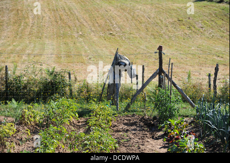 Épouvantail à une affectation dans le Lot Région ou département du sud ouest- Midi Pyrénées région de France Europe Banque D'Images