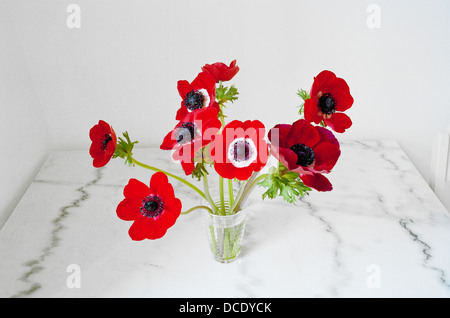 Un bouquet de coquelicots rouges dans un vase en verre Banque D'Images