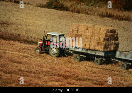 La collecte du tracteur pack paille dans le domaine Banque D'Images