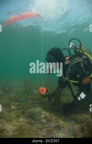 Plongée, plongeur dans la pittoresque baie de Kimmeridge, volontaire de la zone marine, plongée sous-marine au Royaume-Uni Banque D'Images