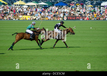 Cowdray Polo Gold Cup, Park Banque D'Images