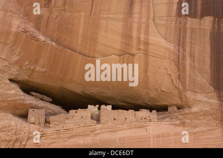 Ruines de la Maison Blanche, Canyon de Chelly, Dinant, AZ. Photo par Janet Porter Fiérement Banque D'Images