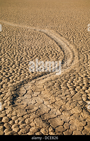 Traces laissées par de mystérieux déménagement roches sur la séchés à plat à l'Hippodrome de boue Playa, Death Valley National Park, Californie Banque D'Images