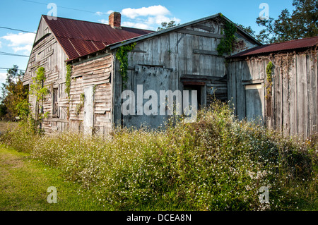 USA, Louisiane, bassin Atchafalaya, Plaquemine, maison en bois abandonnée avec toit en tôle. Banque D'Images