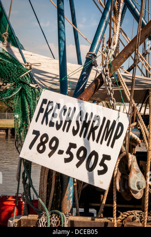 USA, Louisiane, bassin Atchafalaya, Delcambre, signe pour la crevette sur bateau de pêche est revenu à quai avec des captures (M. & PR). Banque D'Images