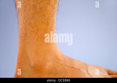 Les mâles adultes de la cheville droite Banque D'Images