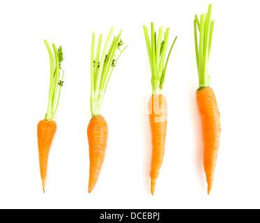 Carottes fraîches avec des feuilles sur fond blanc Banque D'Images