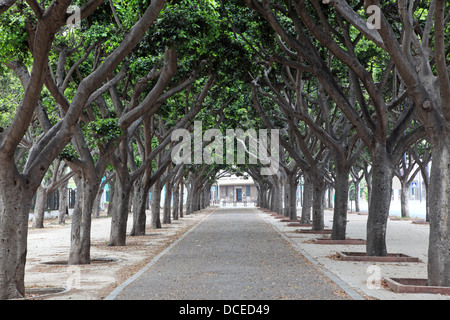 Alley à Casablanca, Maroc, Afrique du Nord Banque D'Images