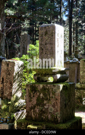 Pierre commémorative grave avec inscription sur, et petit buisson vert ensoleillé dans une forêt de cèdre défrichement au cimetière japonais Okunoin à Koya. Banque D'Images