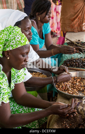 Coopérative de Femmes de la transformation des noix de cajou, de Fatick, au Sénégal. Banque D'Images