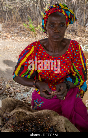 Traitement femme de cajou à une coopérative de femmes, Fatick, Sénégal. Banque D'Images