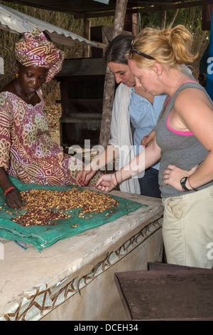 Deux volontaires du Corps de la paix et de l'examen de la Femme Sénégalaise arachides rôties, Fatick, Sénégal Banque D'Images