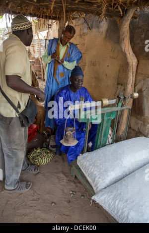 Acheteur de noix de cajou, noix de pesage Fass Njaga Choi, la Gambie. Banque D'Images