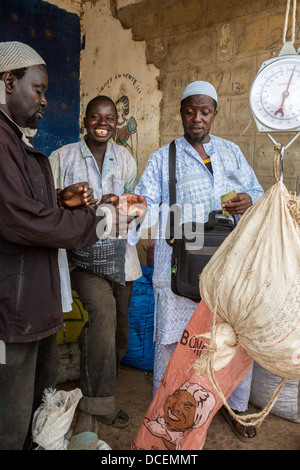 La noix de cajou, noix de pesage de l'acheteur de payer le vendeur, Fass Njaga Choi, la Gambie. Banque D'Images