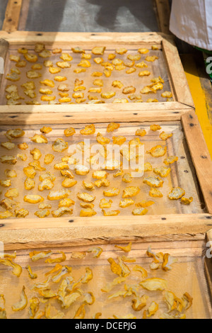 Tranches de pommes de cajou le séchage dans le soleil. Ils seront emballés et vendus localement. Les pommes fraîches ne transportez pas bien. Gambie. Banque D'Images