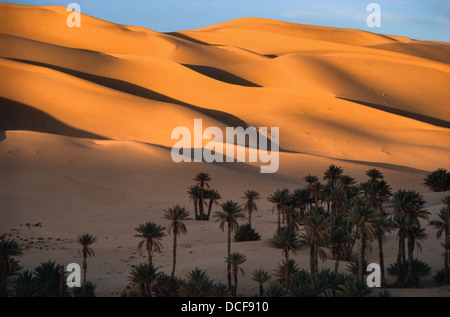 Dunes de sable du grand Erg Occidental, au coucher du soleil, à l'oasis de Taghit, au nord-ouest de l'Algérie. Banque D'Images