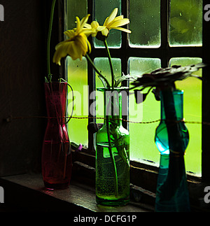 Des fleurs dans des vases de couleur dans une fenêtre Banque D'Images