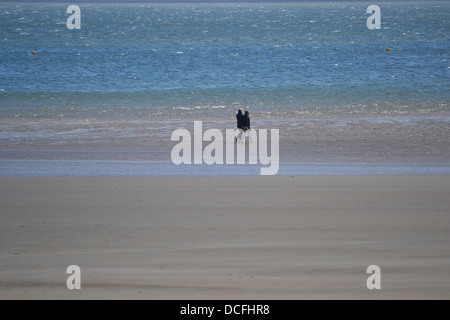 Plage de Saundersfoot Pembrokeshire, Pays de Galles, au début de juin. Plage calme populaire auprès des promeneurs de chiens, les familles et les couples Banque D'Images