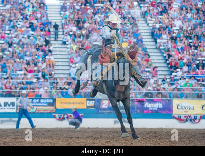 Cowboy participant à une compétition à cheval le Reno Rodeo Rodéo Professionnel lieu à Reno au Nevada Banque D'Images