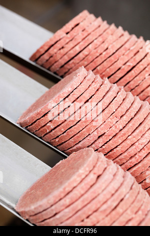 Pâtés de bœuf congelé a photographié à une usine de production de viande. Banque D'Images