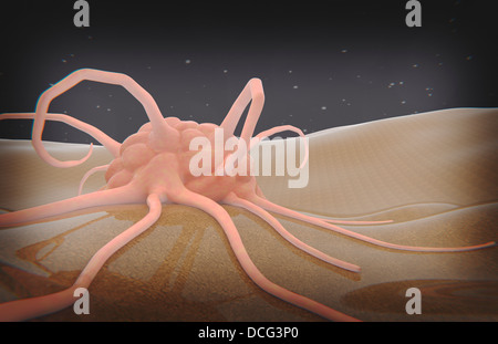 Le rendu 3D de la phagocytose des macrophages. Banque D'Images