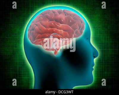 Conceptual image de corps de femme avec cerveau, vue de côté. Banque D'Images