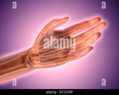 Image conceptuelle d'os de main humaine. Banque D'Images